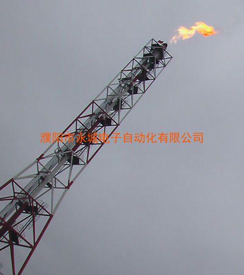 大慶中藍石化火炬
