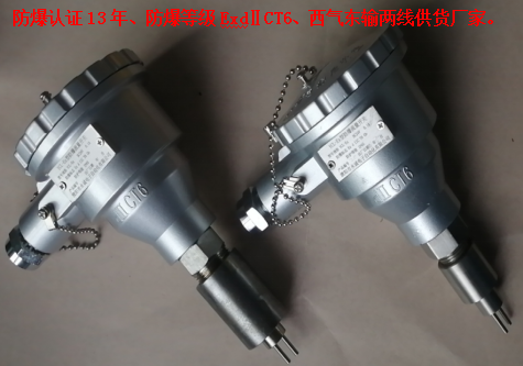 普通型防爆流量開(kāi)關(guān)